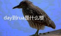 day到rua是什么梗